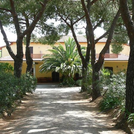 Podere Oslavia Az.Agr.Bio Giannini Alberese Bagian luar foto