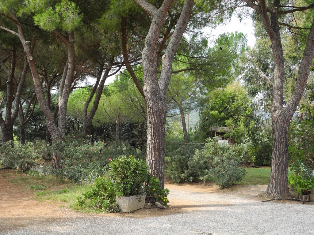 Podere Oslavia Az.Agr.Bio Giannini Alberese Bagian luar foto