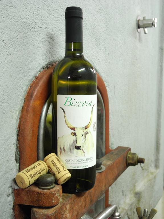 Podere Oslavia Az.Agr.Bio Giannini Alberese Bagian luar foto