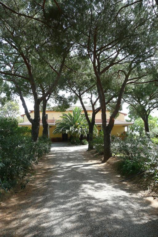 Podere Oslavia Az.Agr.Bio Giannini Alberese Bagian luar foto