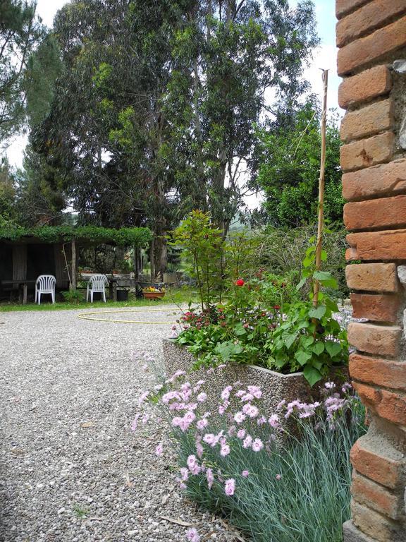 Podere Oslavia Az.Agr.Bio Giannini Alberese Bagian luar foto